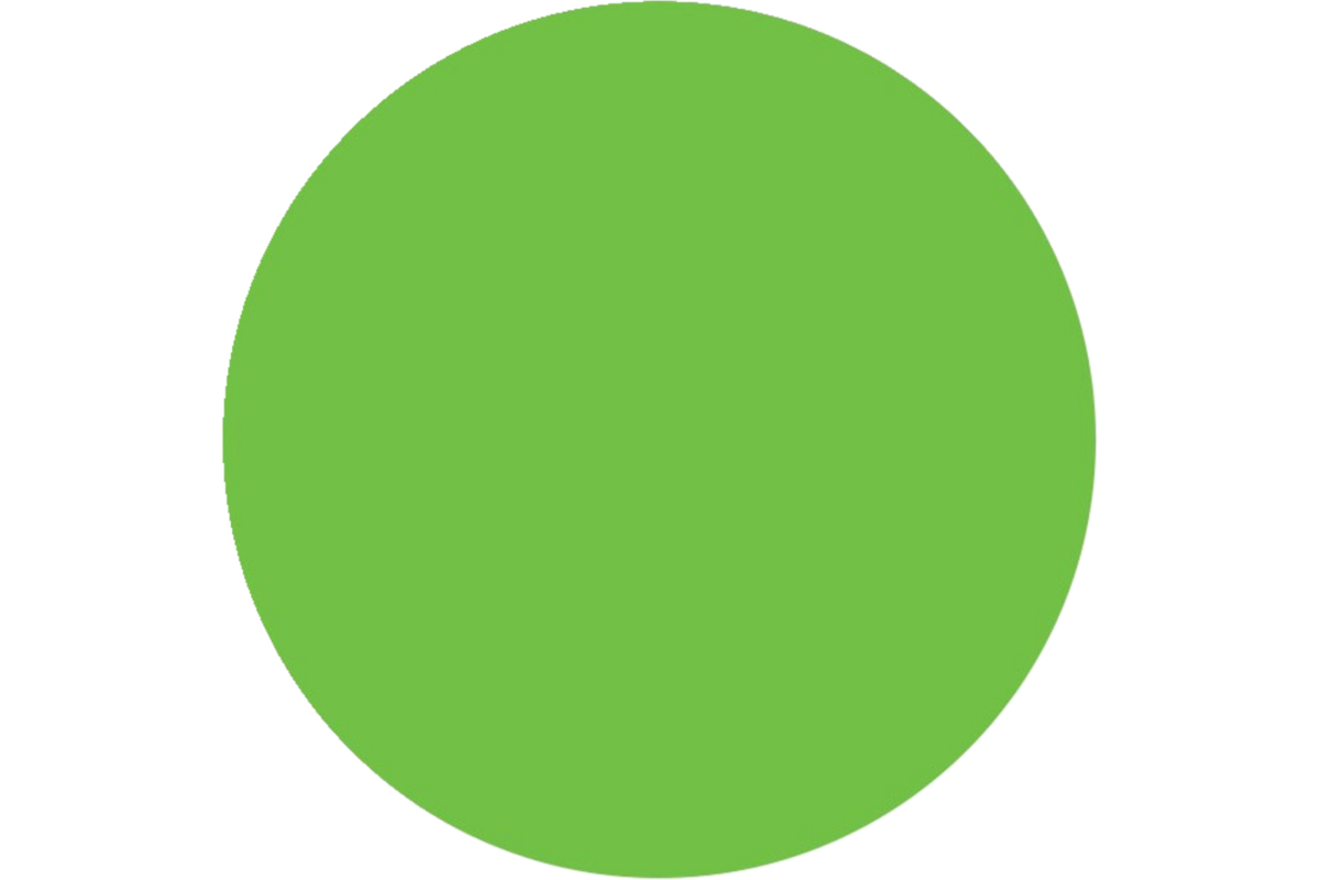 Plakkaatverf | de Rolf groep | topcolor, lichtgroen 1000 ml