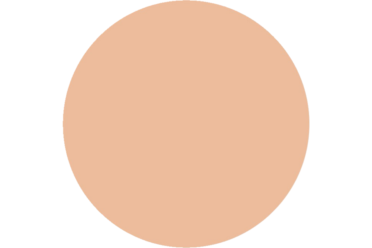 Plakkaatverf | de Rolf groep | topcolor, zalm roze 1000 ml