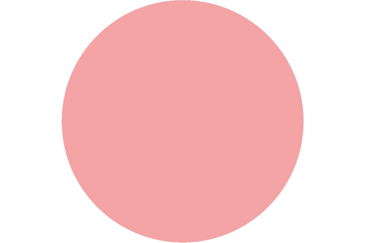Plakkaatverf | de Rolf groep | topcolor, roze 1000 ml