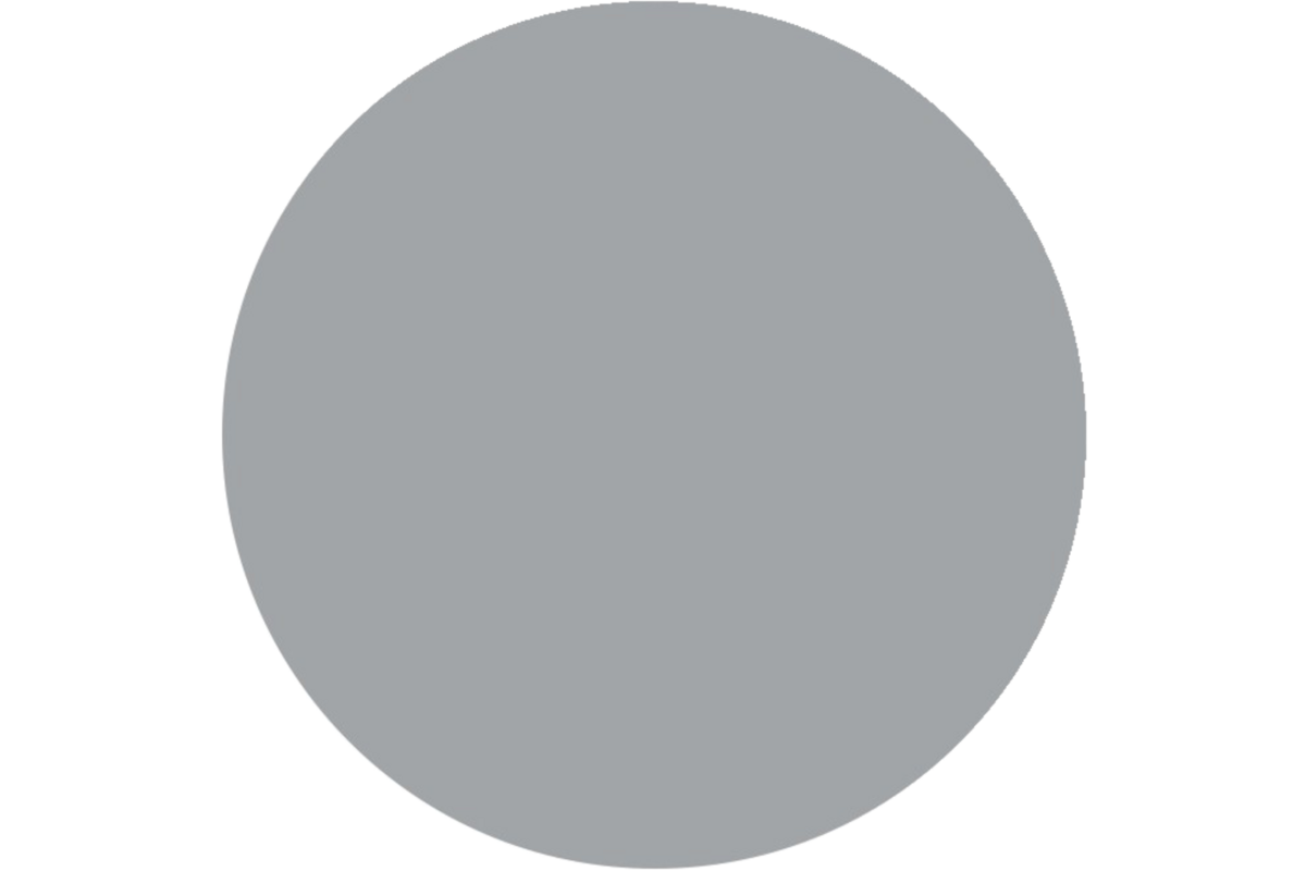 Plakkaatverf | de Rolf groep | topcolor, zilver 1000 ml