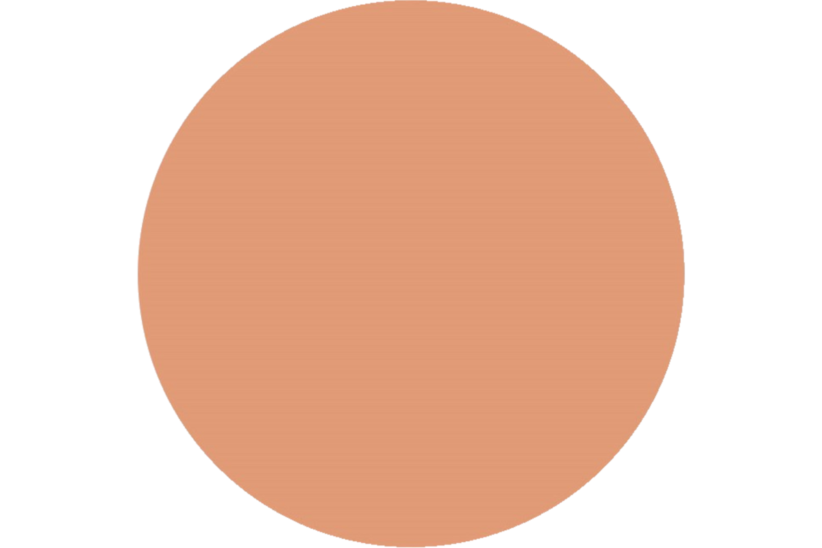 Plakkaatverf | de Rolf groep | topcolor, brons 1000 ml
