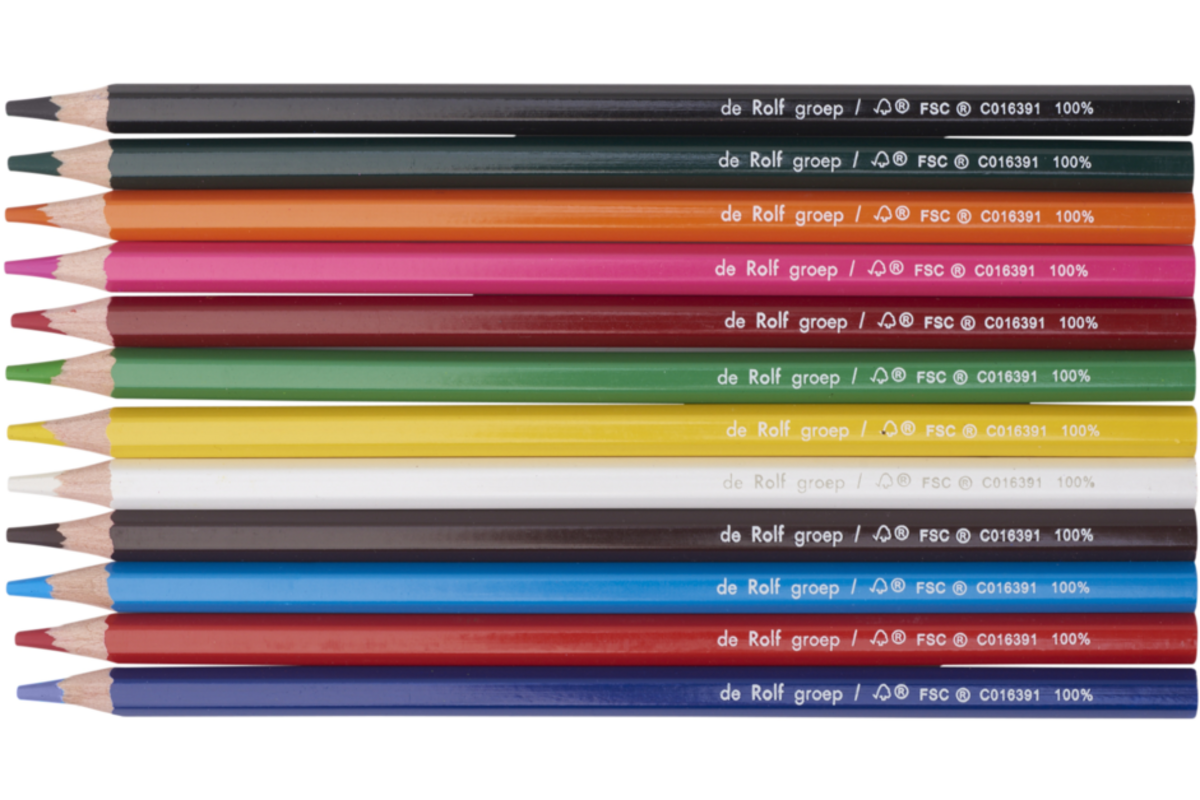 Kleurpotloden | de Rolf groep | 3,8 mm assorti, 12 stuks