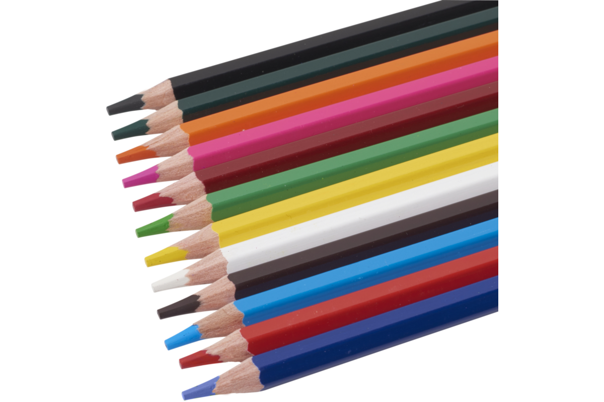 Kleurpotloden | de Rolf groep | 3,8 mm assorti, 12 stuks