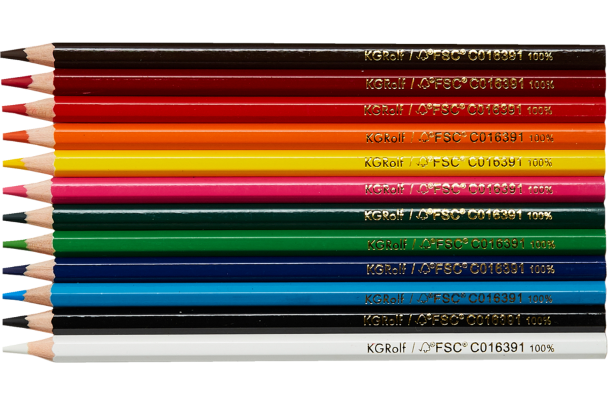 Kleurpotloden | de Rolf groep | 3,8 mm assorti, 12 stuks