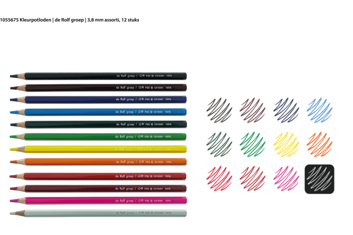 Kleurpotloden | de Rolf groep | 3,8 mm assorti, 12 stuks