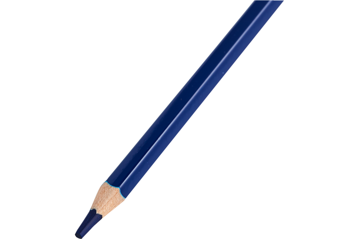 Kleurpotloden | de Rolf groep | donkerblauw, 12 stuks