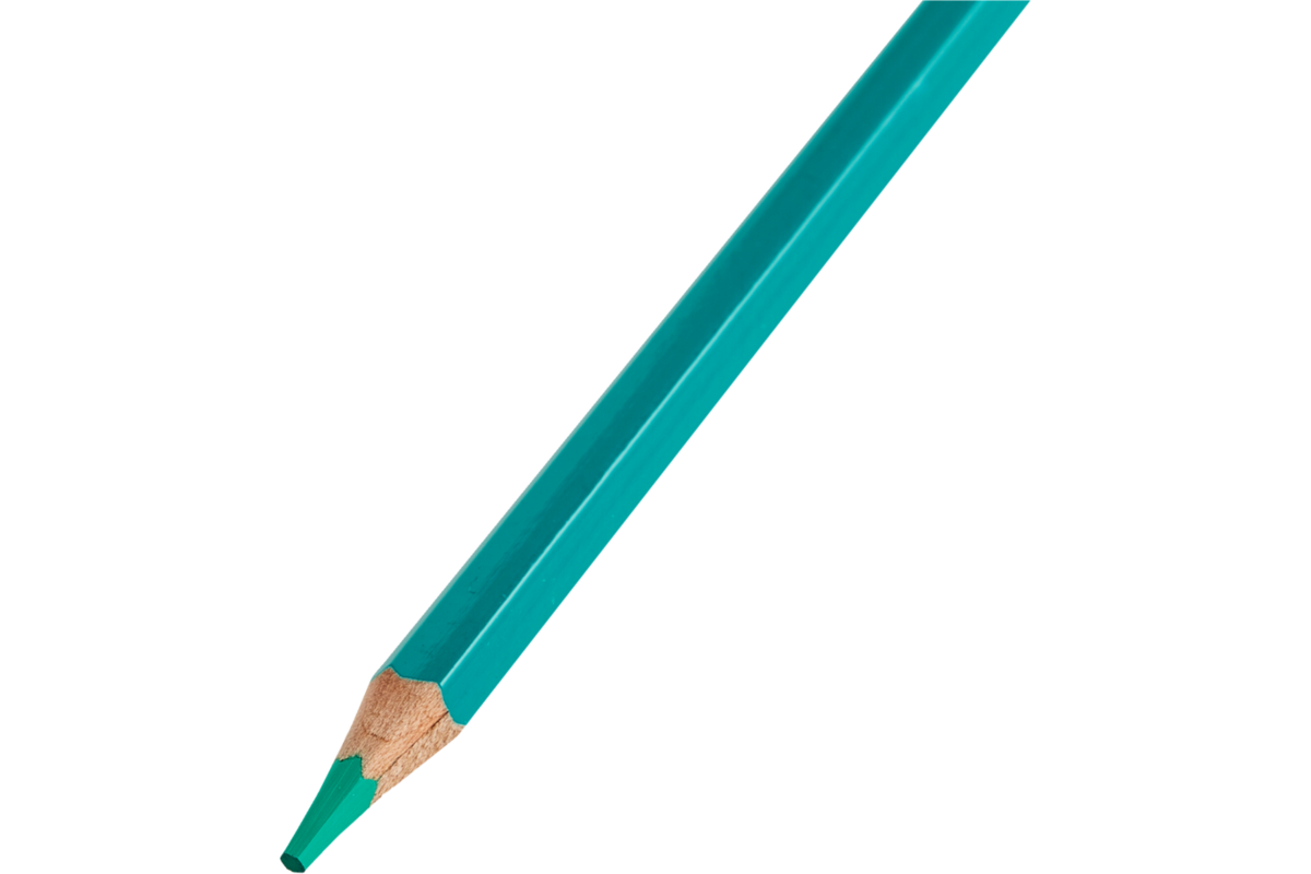 Kleurpotloden | de Rolf groep | turquoise, 12 stuks
