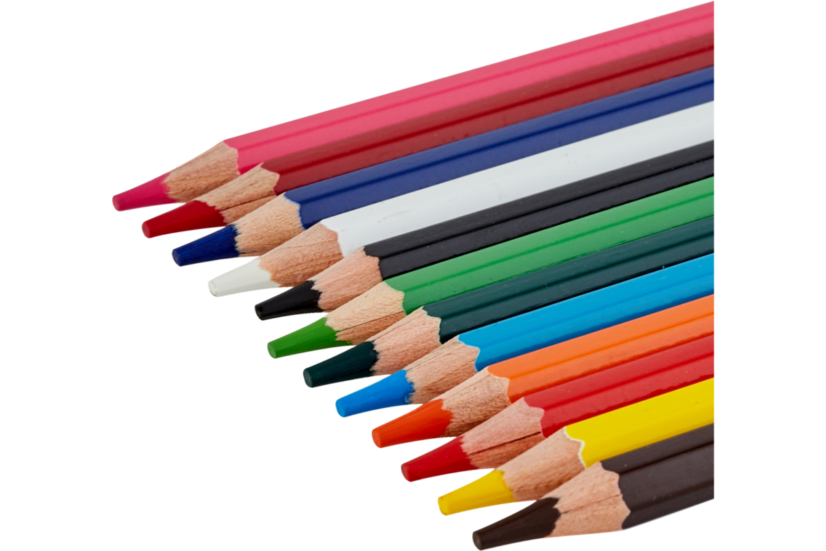 Kleurpotloden | de Rolf groep | assorti in blik, 12 stuks