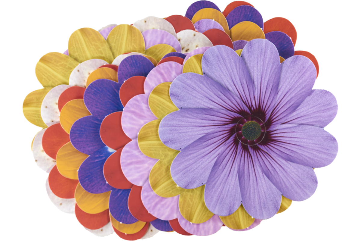 Vlechtbloemen met borduurnaald 11,5 cm, 16 stuks