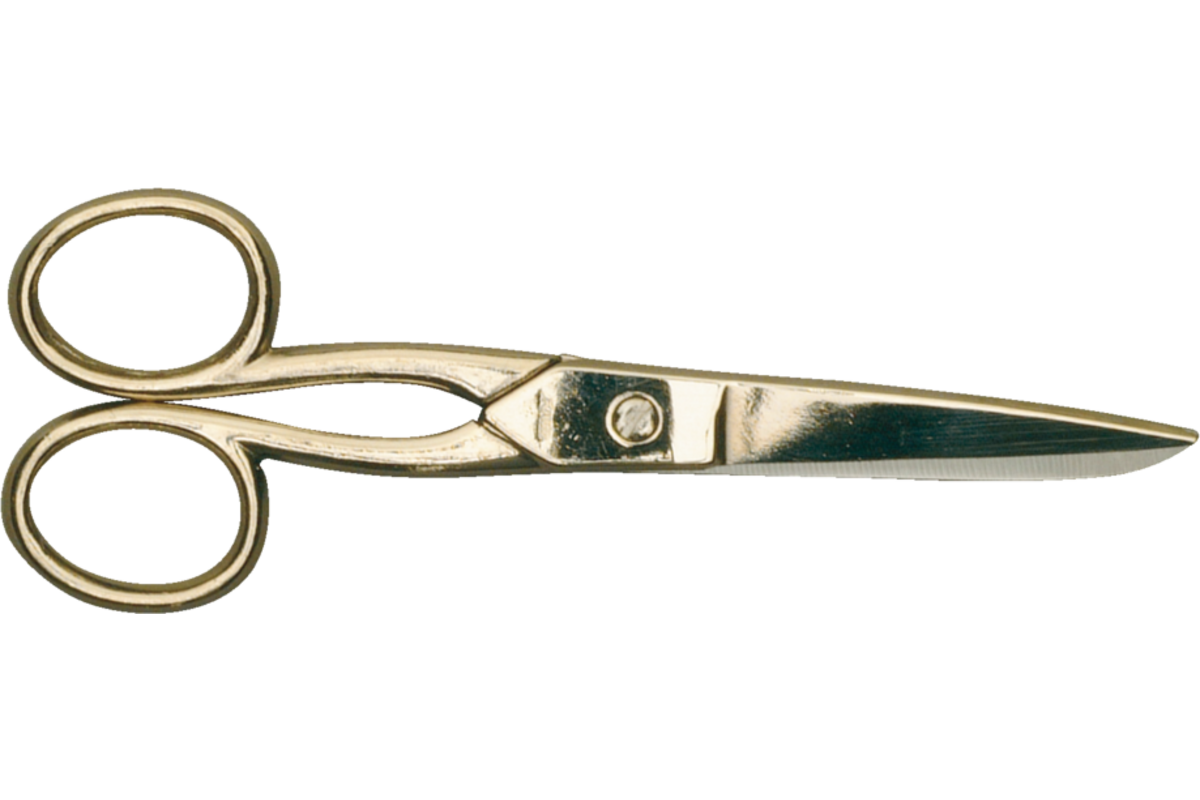 Schaar 13 cm rvs met punt