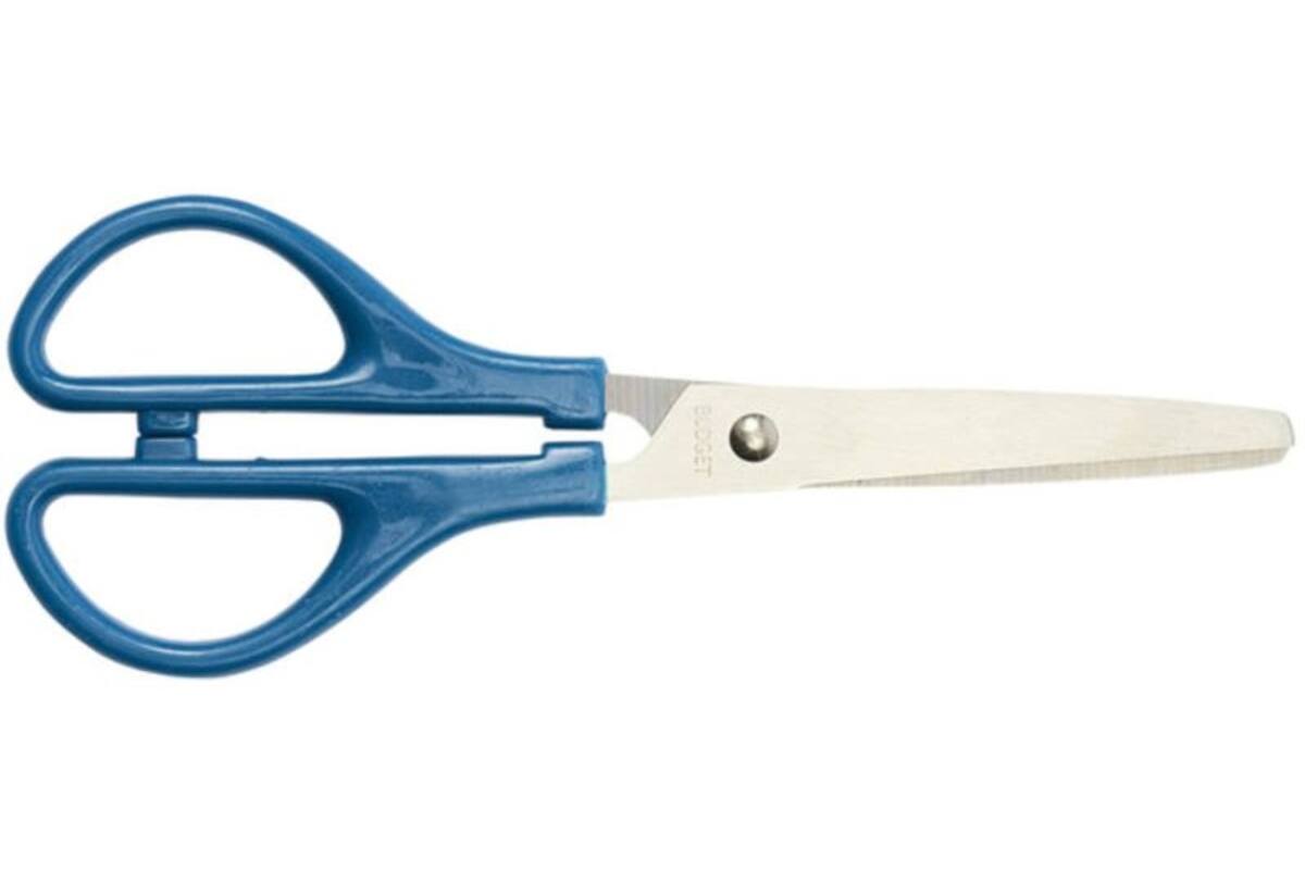 Schaar 15 cm Budget met ronde punten