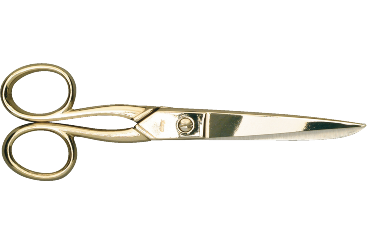 Schaar 15,5 cm rvs