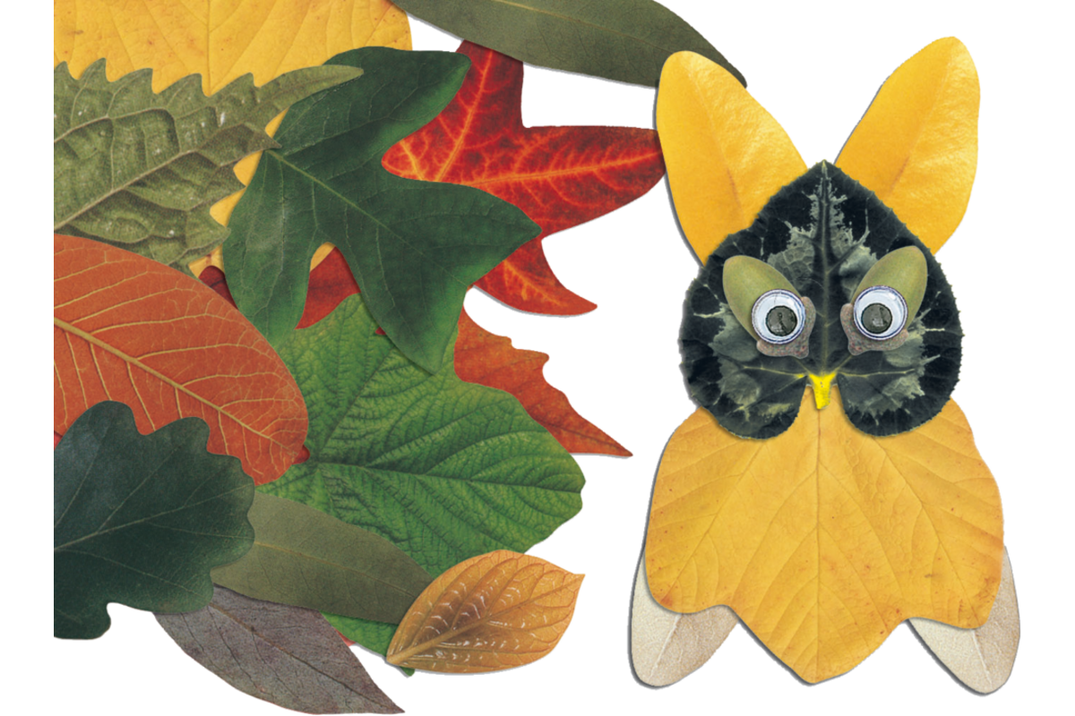 Stansfiguren herfst 38 motieven 4 x 14 cm, 266 stuks