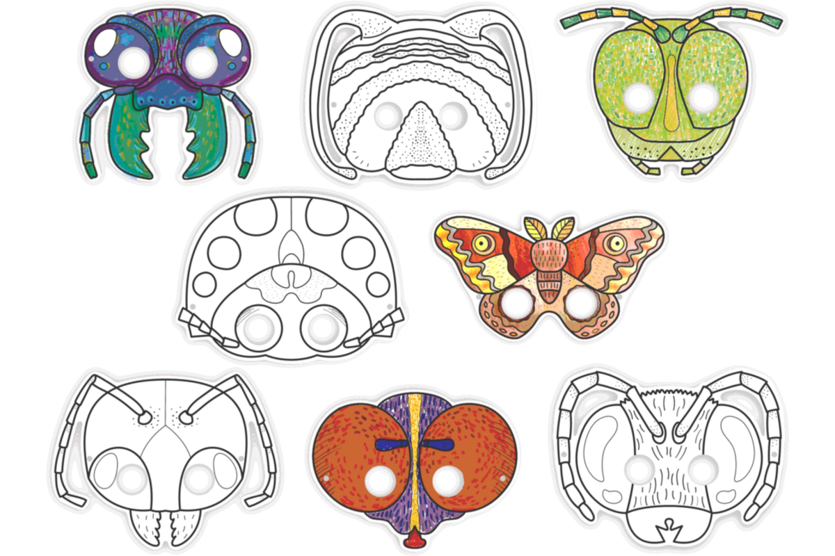 Insecten maskers 8 designs, 24 stuks