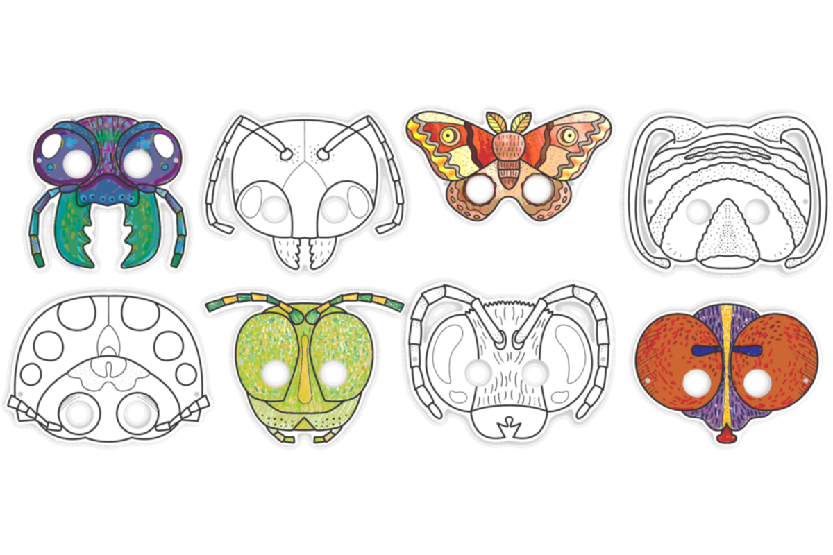 Insecten maskers 8 designs, 24 stuks