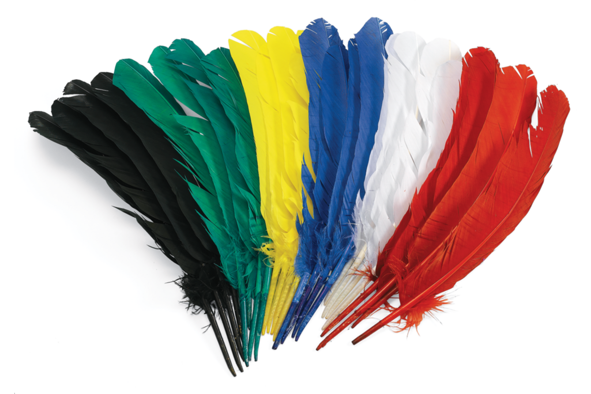 Ganzenveren 30 cm, 24 stuks