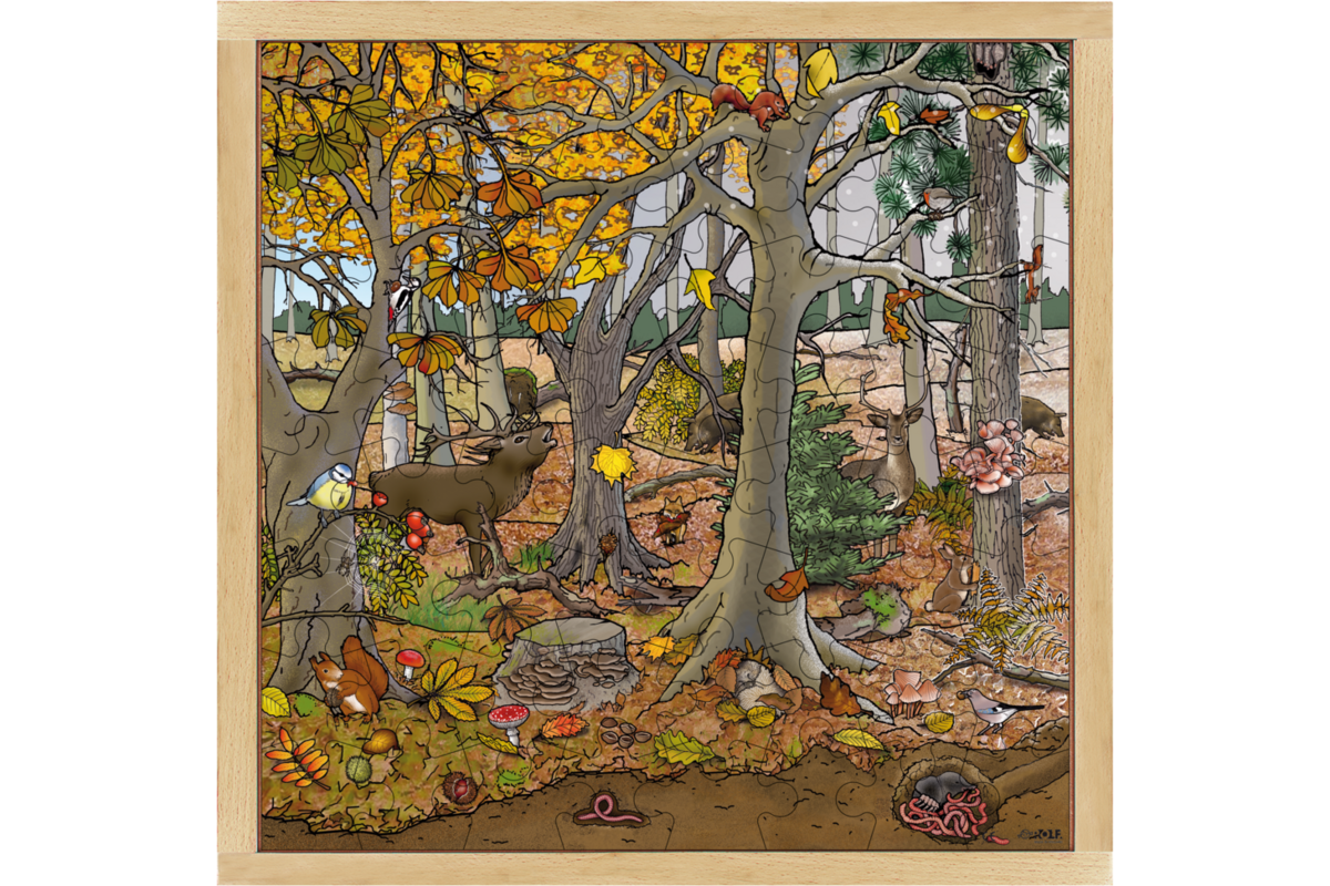 Rolf Puzzels - Puzzel bos herfst-winter, 64 stukjes