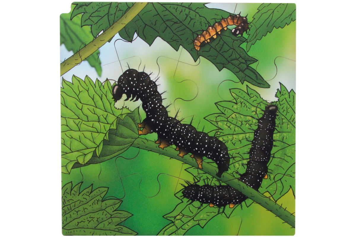 Rolf Connect - Groeipuzzel vlinder 28 x 28 cm 4-lagen 86 stukjes