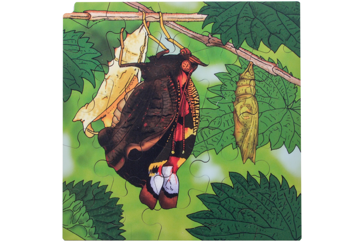 Rolf Connect - Groeipuzzel vlinder 28 x 28 cm 4-lagen 86 stukjes