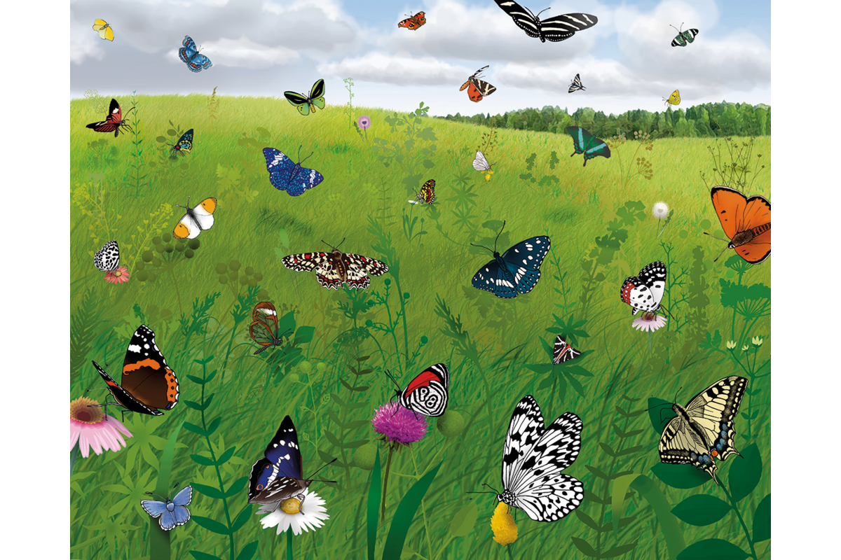Rolf Puzzels - Puzzelserie Natuurtuin (2stuks)