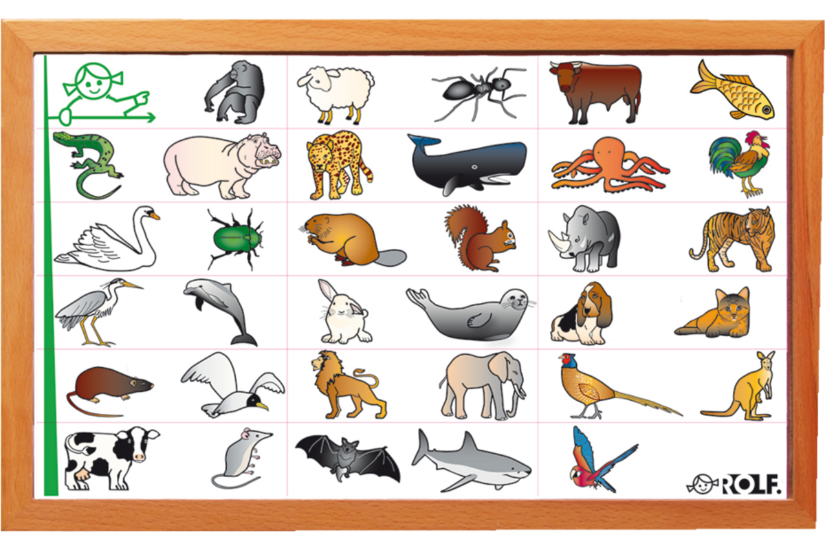 Rolf More - Dieren rijmspel