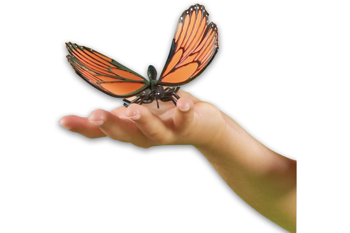Jumbo insecten
