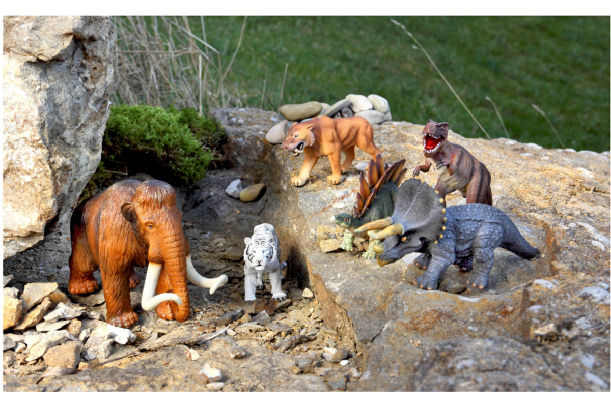 Dierenset, 26 delig