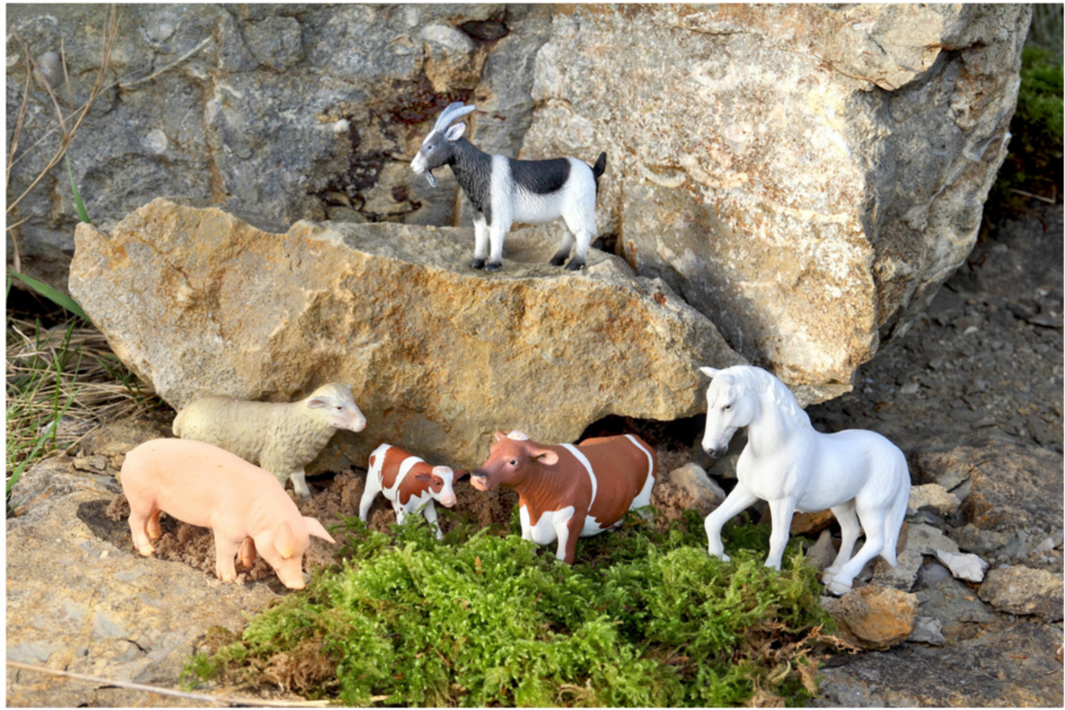 Dierenset, 26 delig