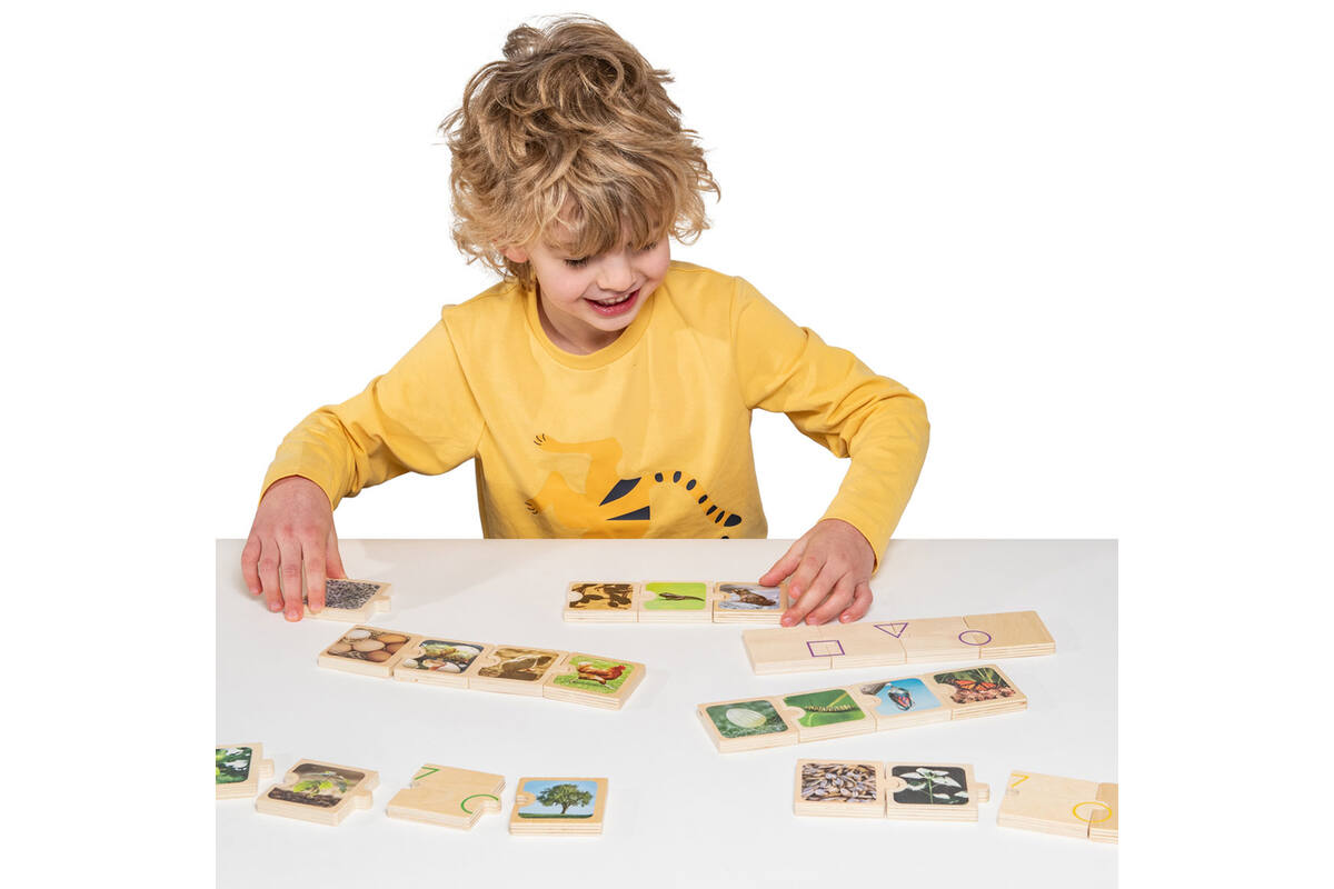 Puzzel levenscycli