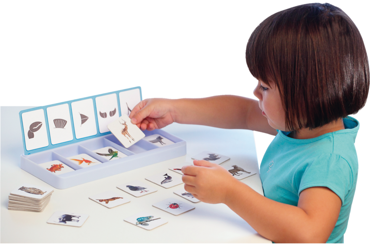 Sorteerset dieren