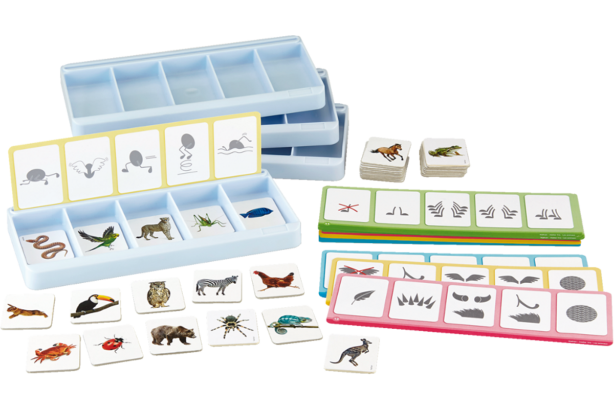 Sorteerset dieren