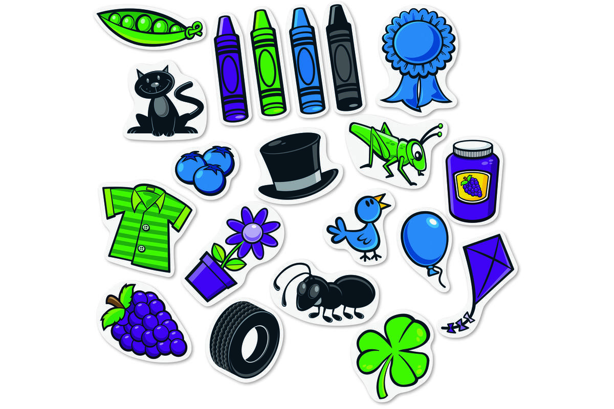 Splash van kleur, magnetische sorteerset