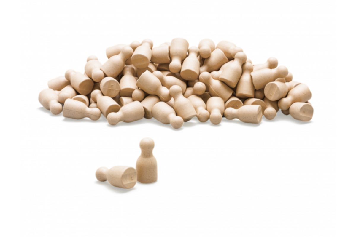 Pionnen naturel, set van 100 stuks