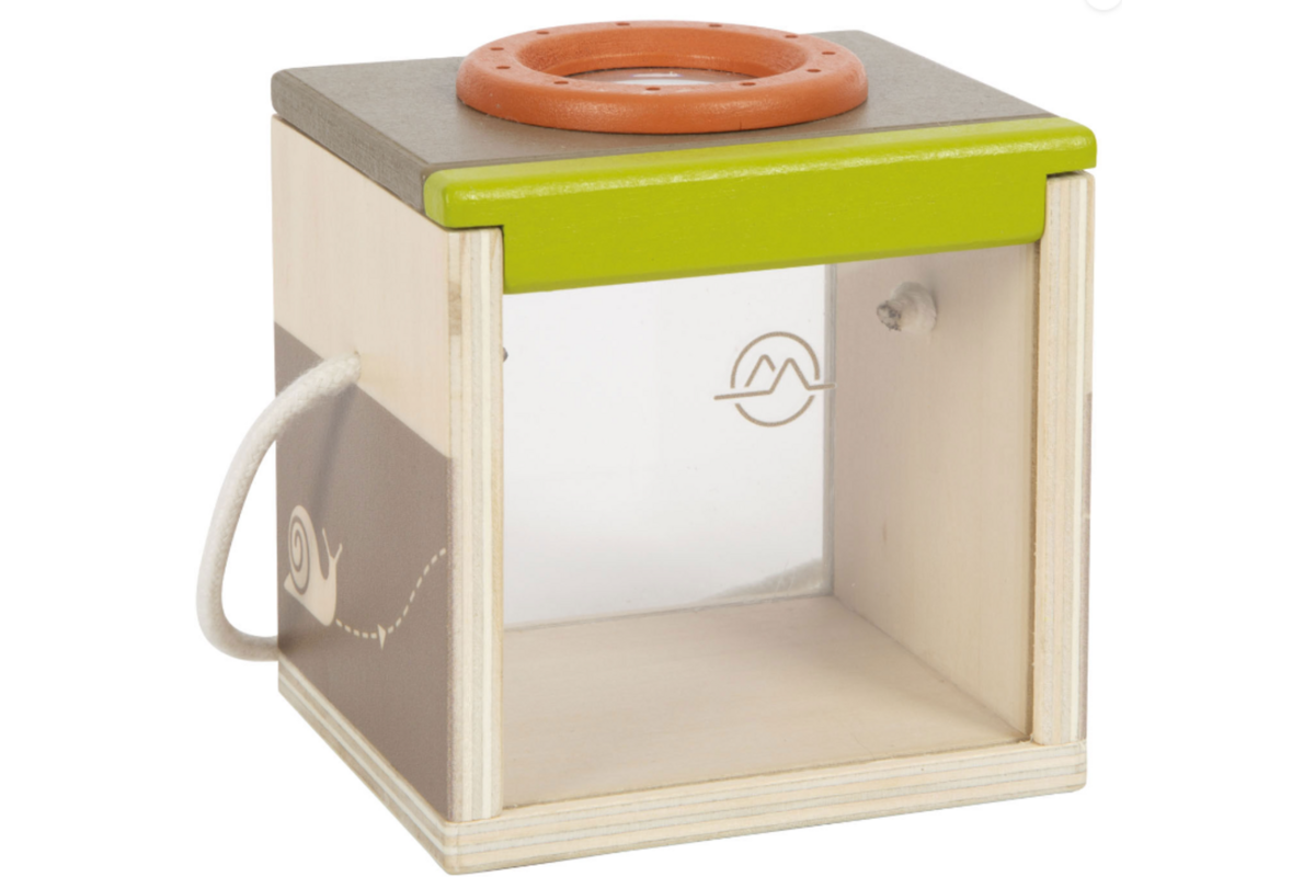 Houten Insectendoos Discover