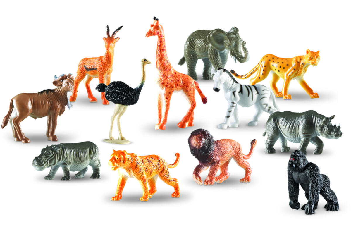 Dierentellers Jungle (Set van 60)