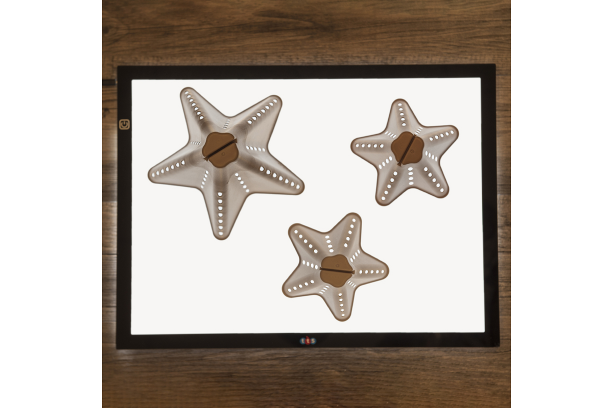 Stapelkegels Eco 20 stuks