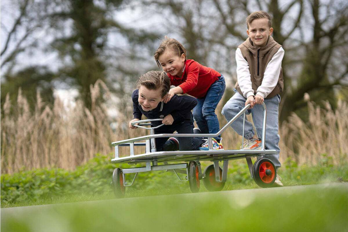 Stuurduwwagen maxi gegalvaniseerd