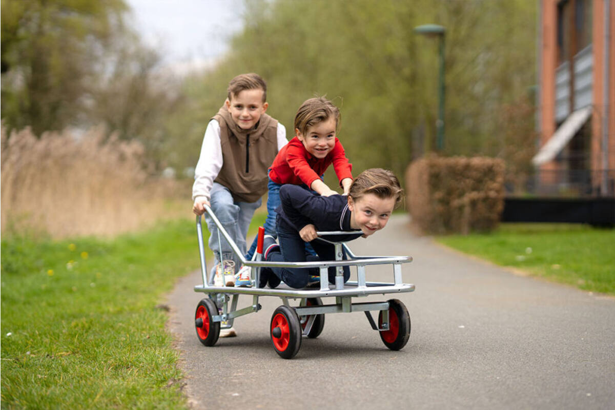 Stuurduwwagen maxi gegalvaniseerd