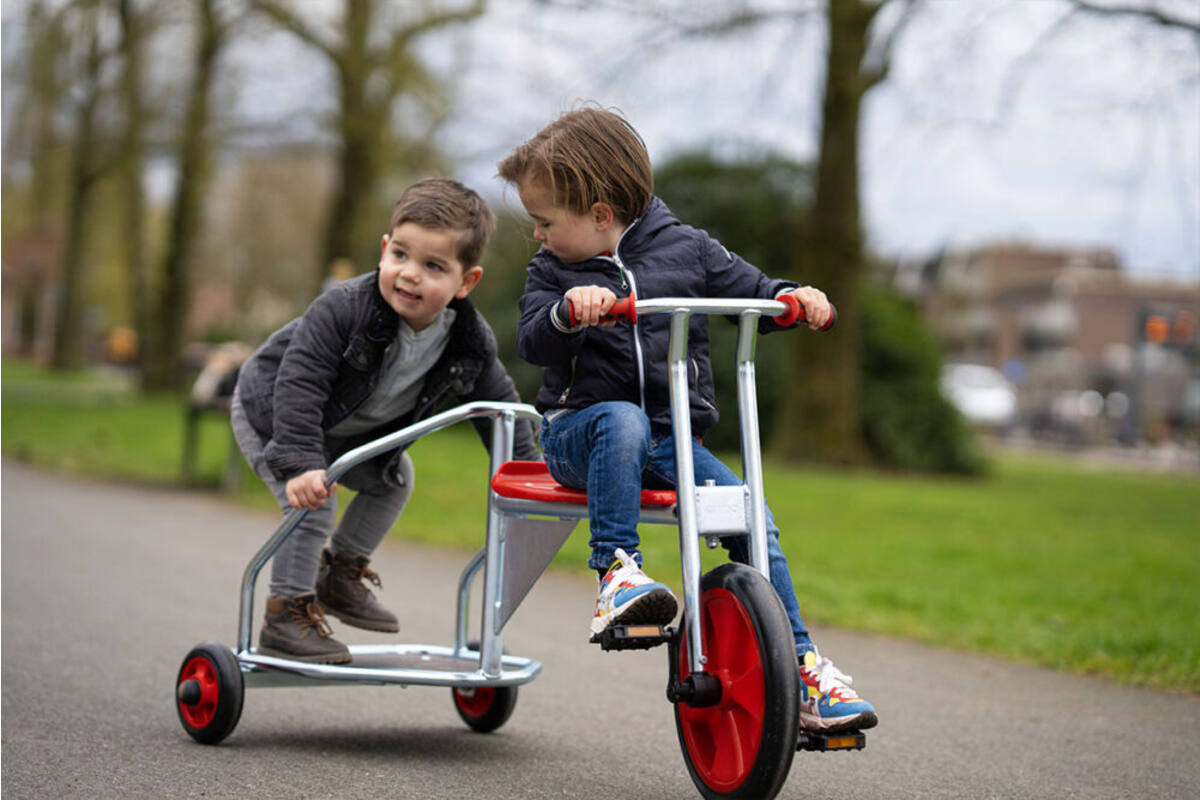 Strijdwagen maxi gegalvaniseerd