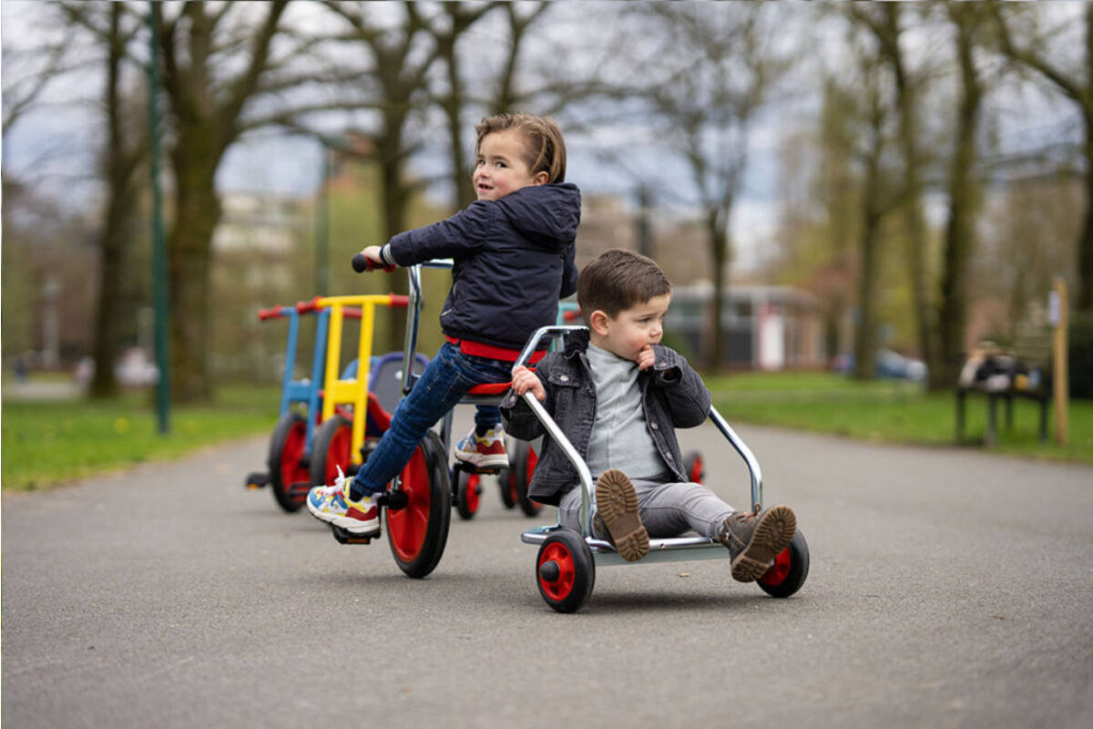 Strijdwagen maxi gegalvaniseerd