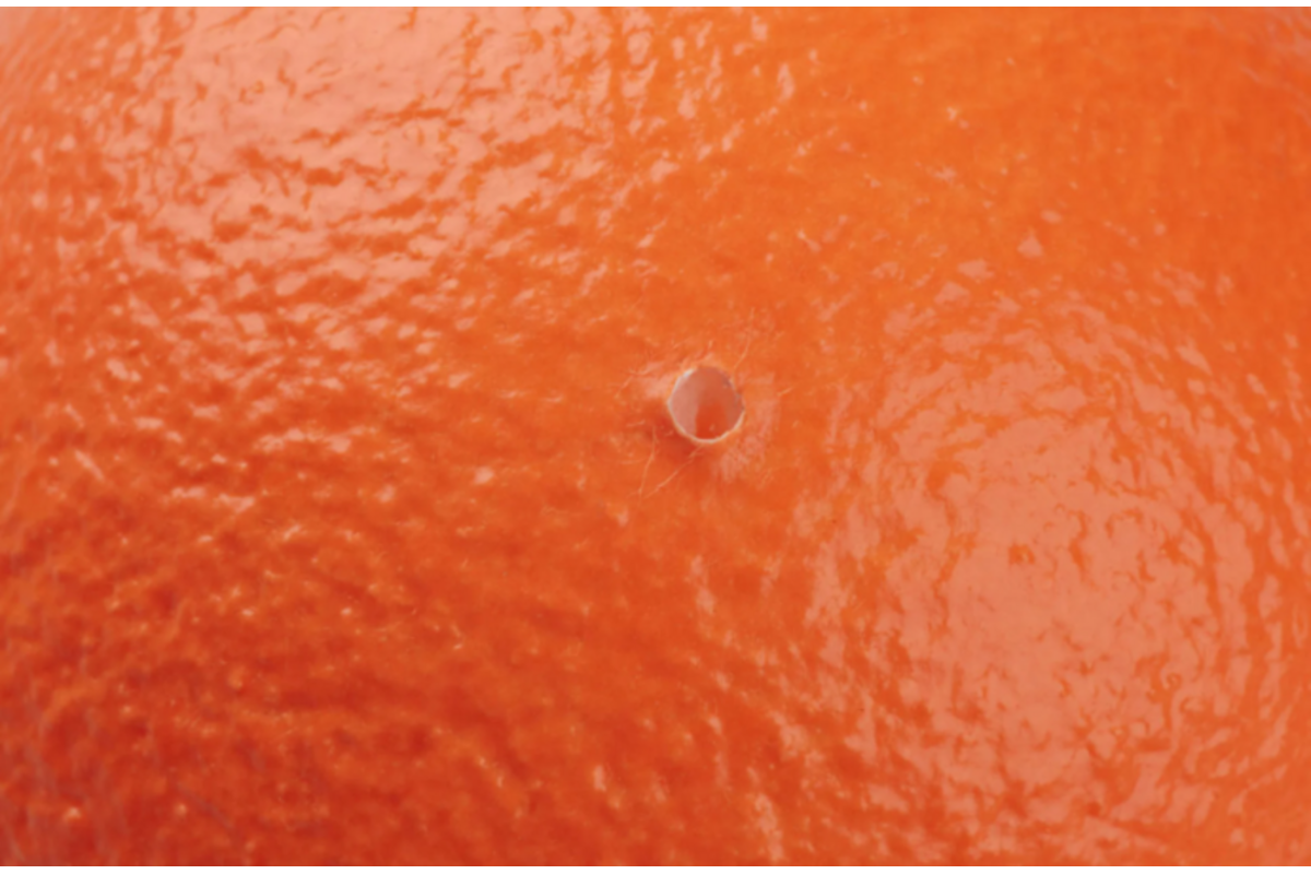Bal | DRAGONSKIN Soft, Ø 12 cm, 45 g, neon oranje
