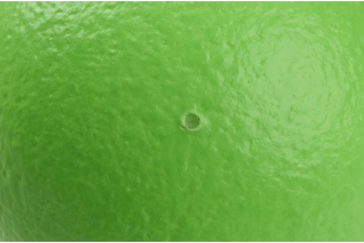 Bal | DRAGONSKIN Soft, Ø 16 cm, 100 g, neon groen