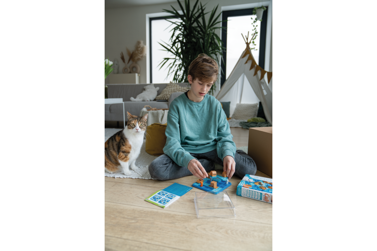 Cat & boxes