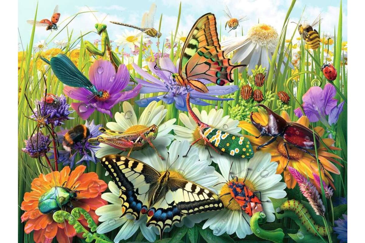 Wonderful World of Insects, 100 XXL