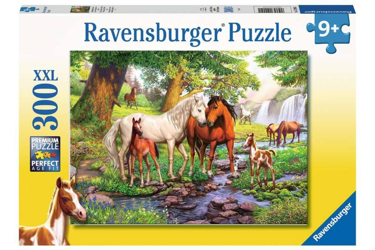 Wilde paarden bij de rivier, 300 stukjes
