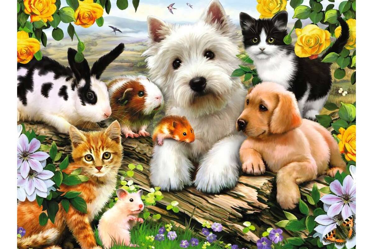 Dierenvriendjes, 300 stukjes