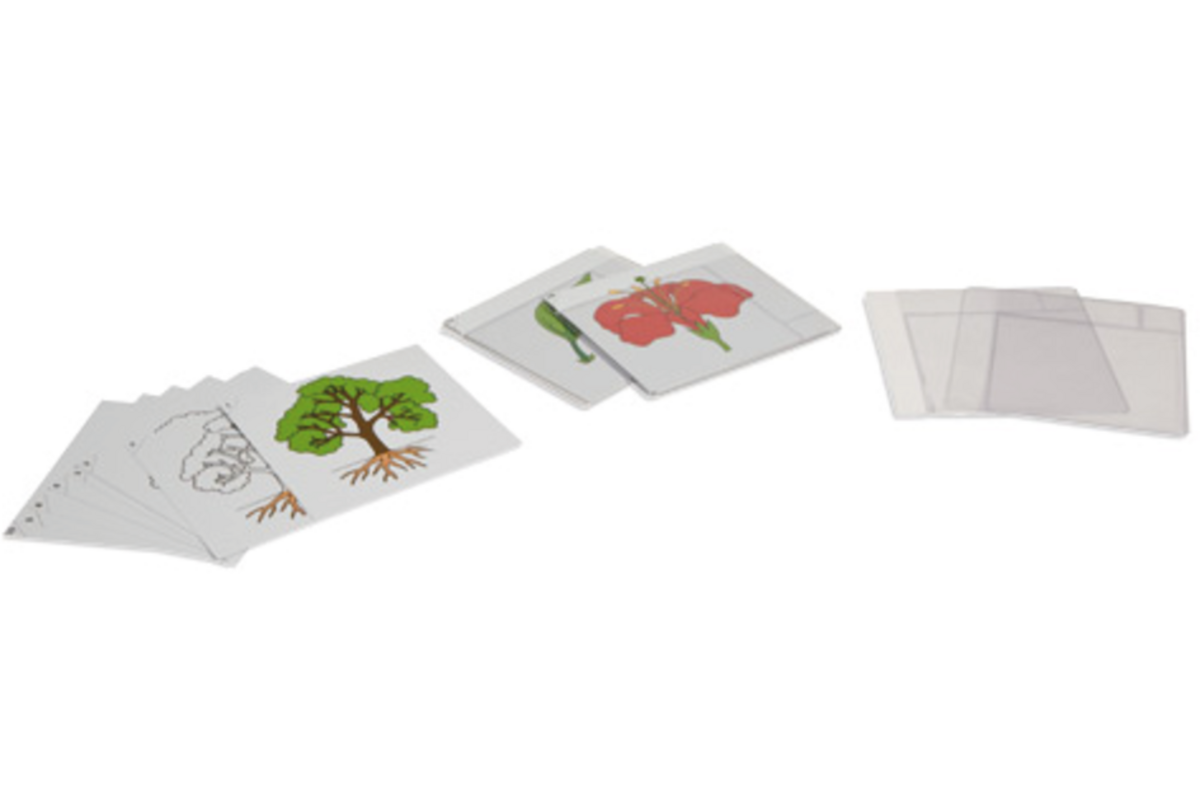 Biologische mapjes groep 1