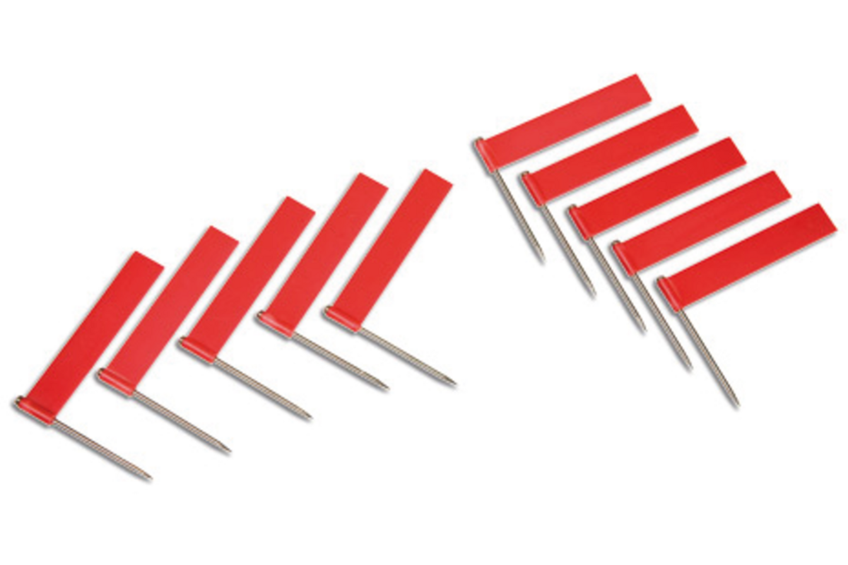 Extra vlaggen 10 stuks rood