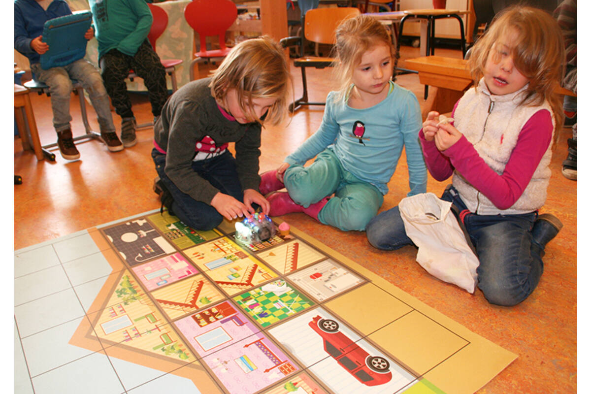Bee-Botles huis (ook geschikt voor Blue-Bot en Primo Cubetto)