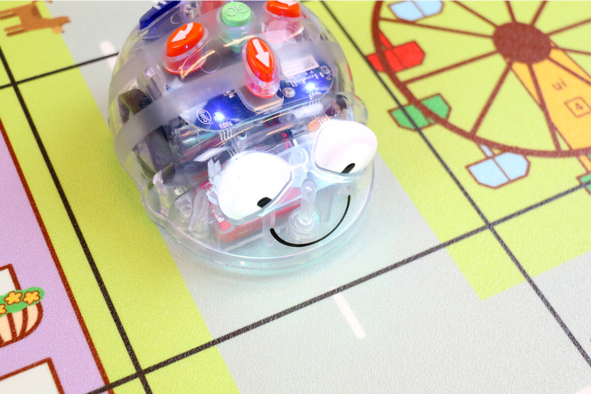 Bee-Botles stad (ook geschikt voor Blue-Bot en Primo Cubetto)